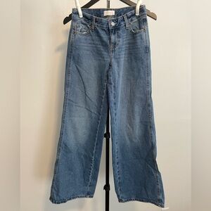 PacSun Casey low rise Baggy jeans size 22 Short